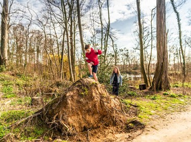 BLOBBLOB_DADIZELE_CAPTURE-Park Marienstede