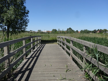 Brug bufferbekken-Kapelleveld