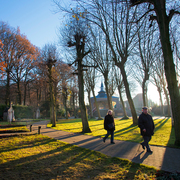 Rosarium Dadizele