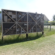 Insectenhotel bufferbekken