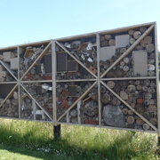 Insectenhotel bufferbekken