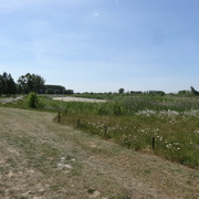Bufferbekken