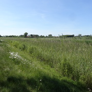 Bufferbekken
